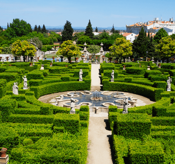 jardim-botanico-coimbra-2 jardim-botanico-coimbra-2