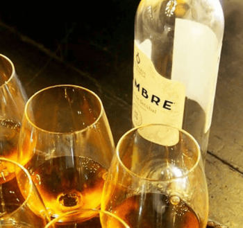 prova-vinhos-2 prova-vinhos-2